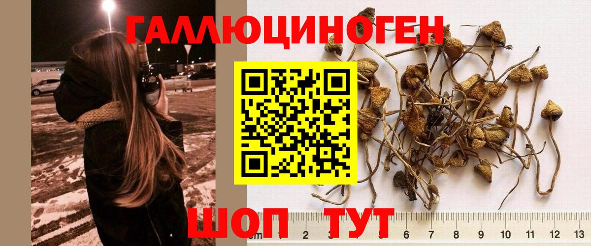 Галлюциногенные грибы Magic Shrooms Краснотурьинск
